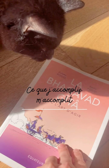 🧘🏽‍♀️ La Bhagavad Gîtâ. Ou l’art d’agir 🧘🏽‍♀️